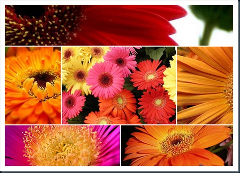 PRIMAVERA E O ZODÍACO